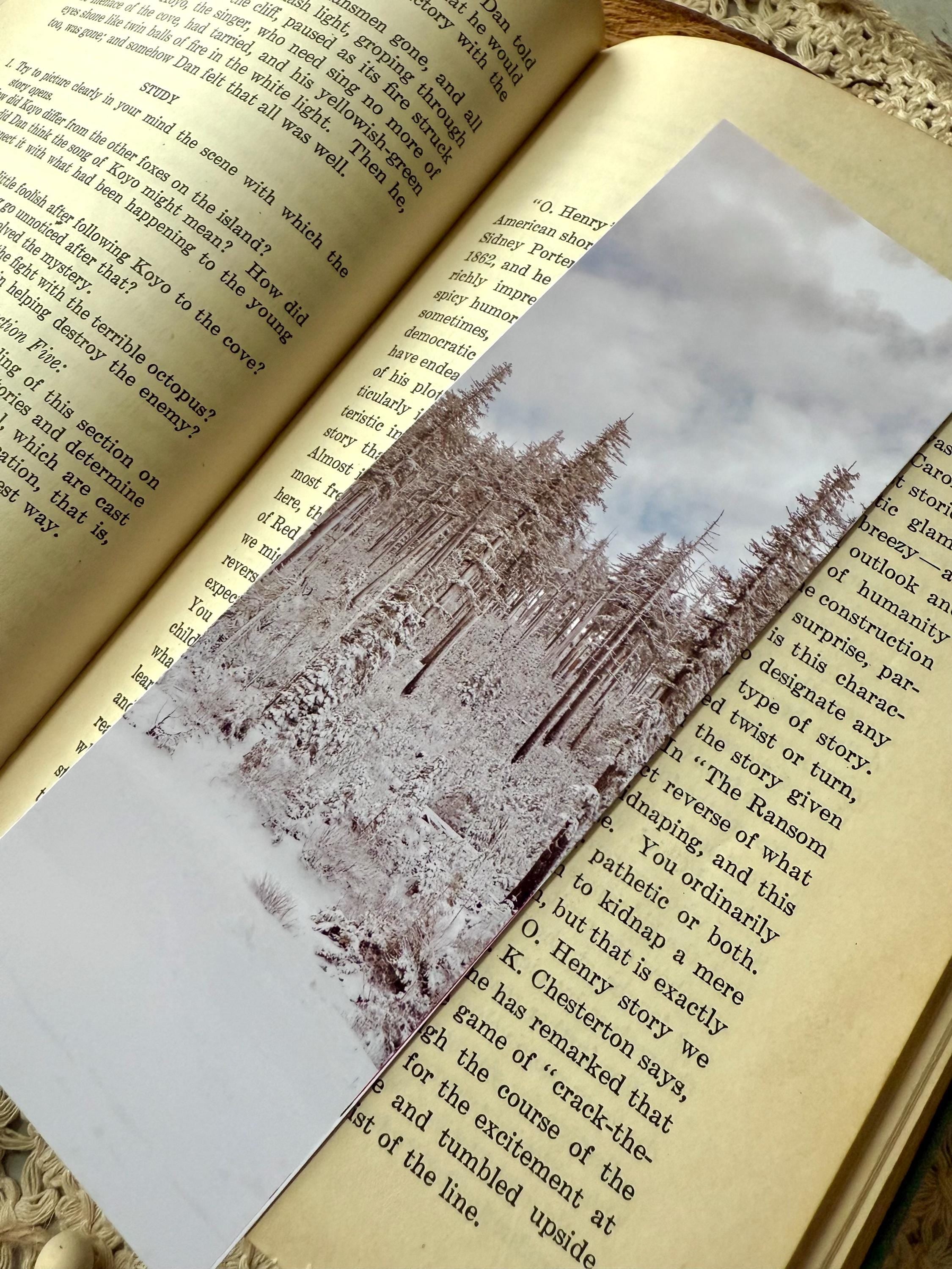 Snowy Forest Bookmark | Winter Woodland Photography | Oregon Snow Bookmark | Book Lover Gift