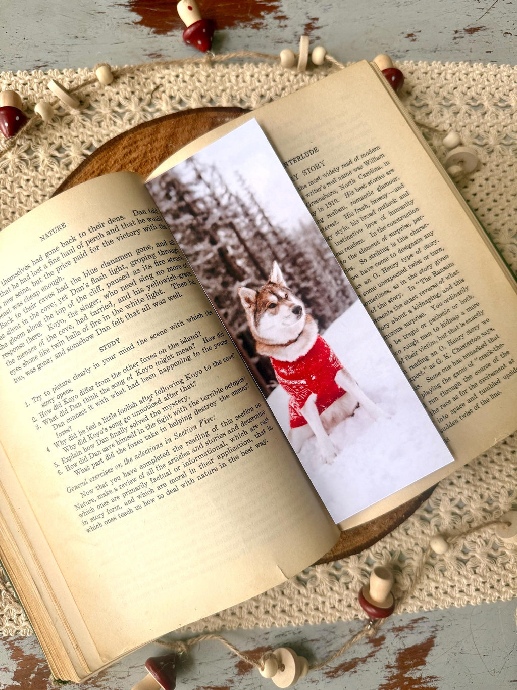 Husky Snow Bookmark | Winter Dog Photography | Husky Nova Bookmark | Book Lover Gifts, Dog Bookmarks